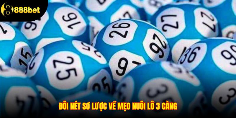 Đôi nét sơ lược về mẹo nuôi lô 3 càng