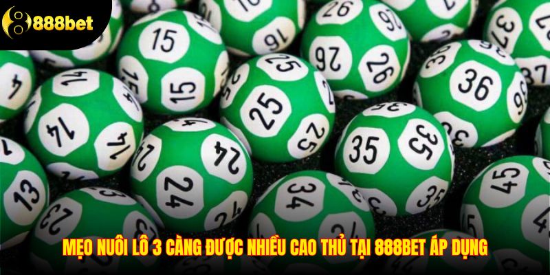 Mẹo nuôi lô 3 càng được nhiều cao thủ tại 888BET áp dụng