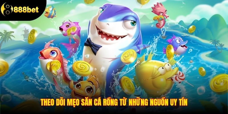 Theo dõi mẹo săn cá rồng từ những nguồn uy tín