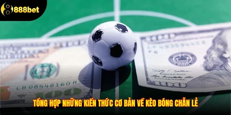 Tổng hợp những kiến thức cơ bản về kèo bóng chẵn lẻ